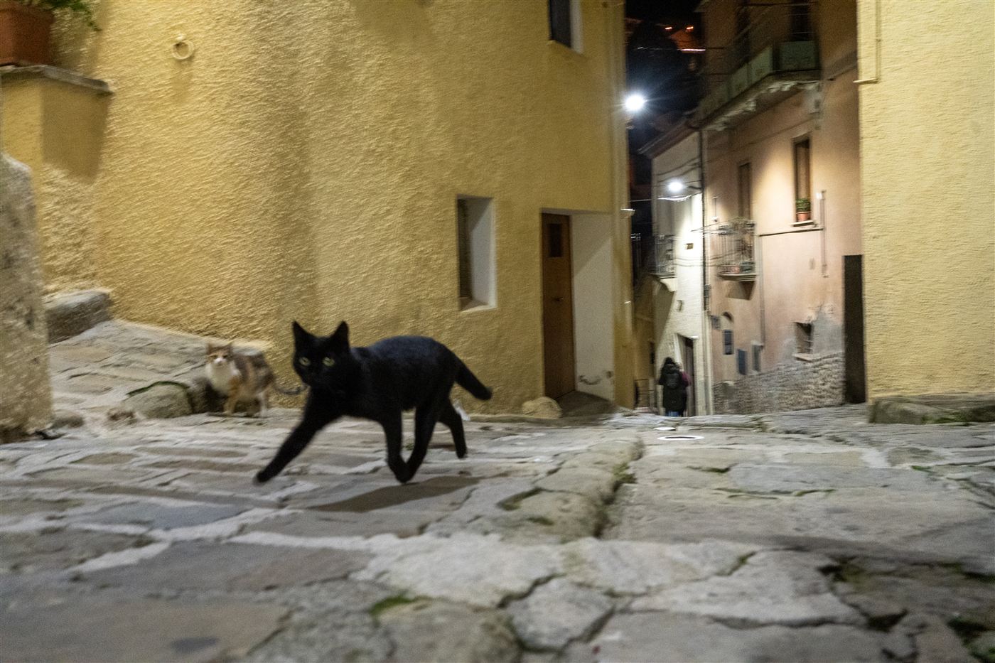 Un gatto nero attraversa una strada lastricata del borgo, di notte