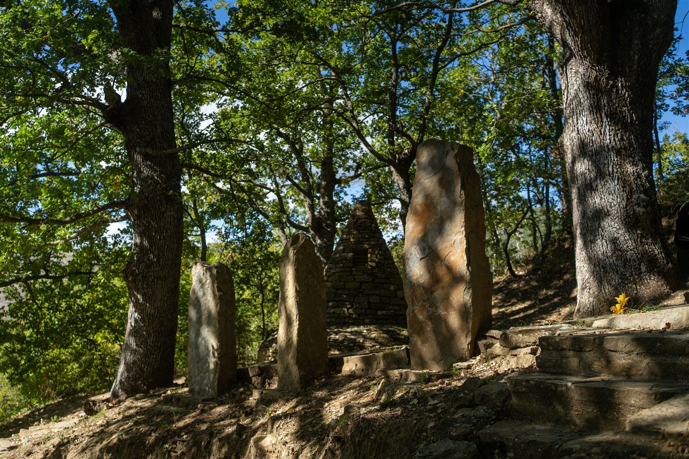 Pietre conficcate in verticale e una piccola piramide di pietra nel bosco del Percorso delle Sette Pietre